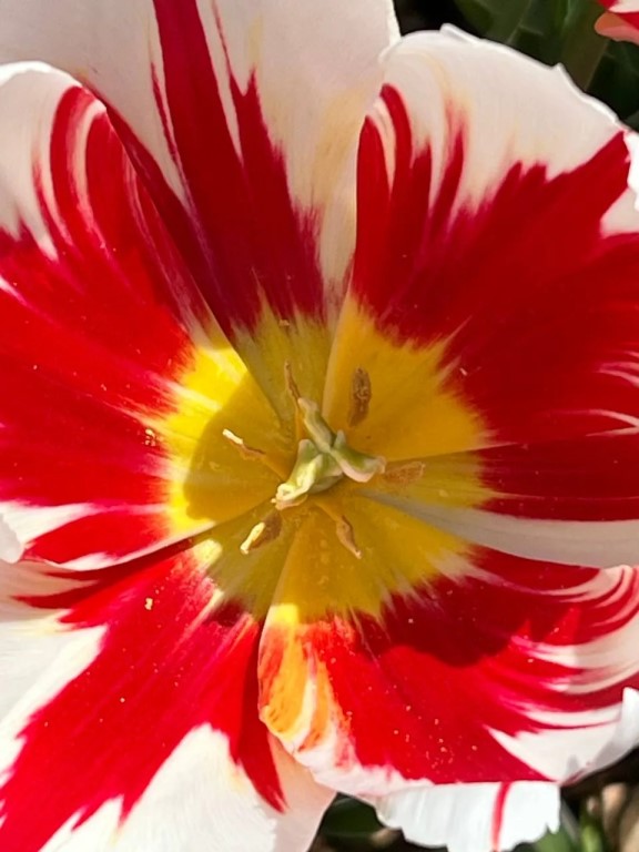 Фото