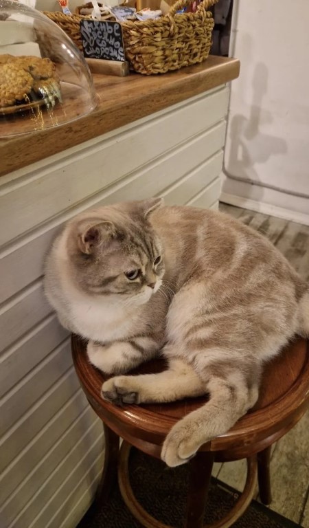 Фото