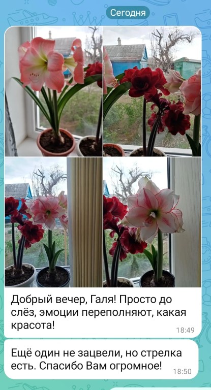 Фото