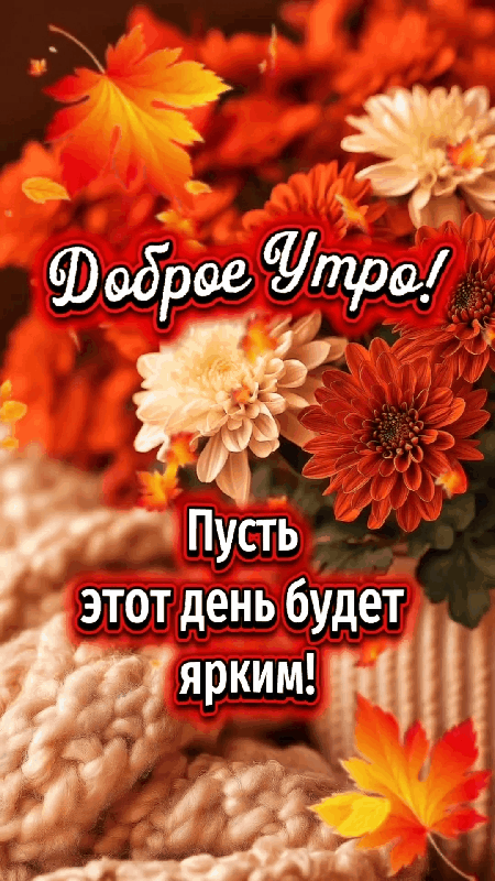 Спасибо за реакции 🩷