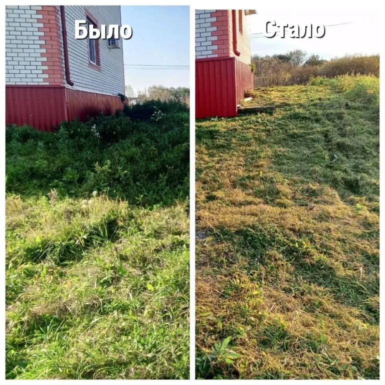 Фото