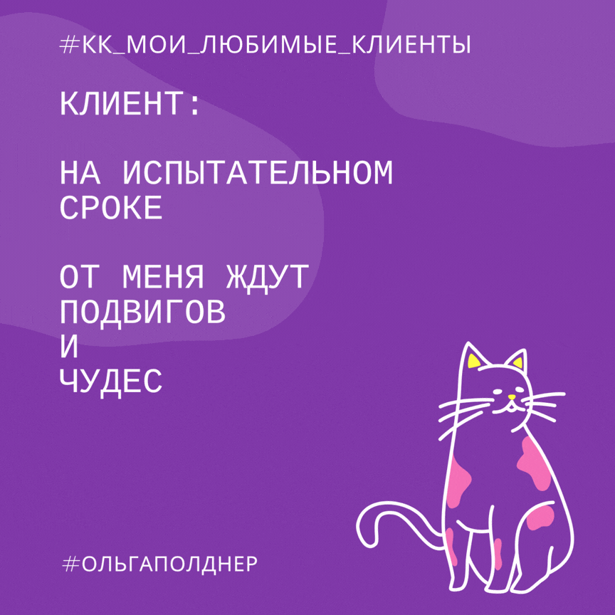 #пятничные_котики