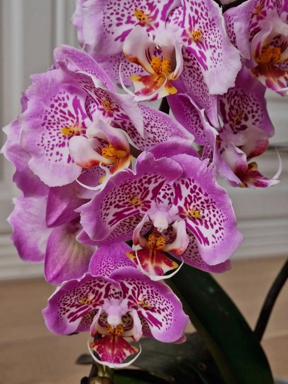 Фото