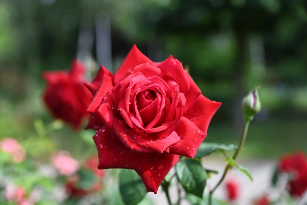Фото