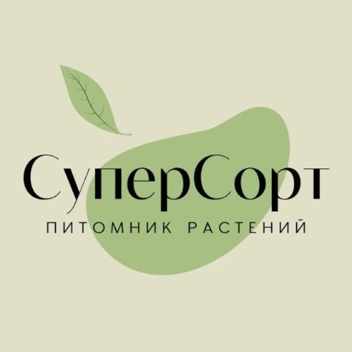 Бонусная карта СуперСорт — канал в мессенджере MAX