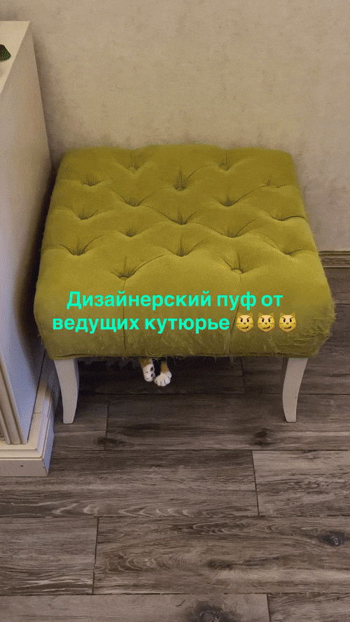 Добрый Мурзик 😻
