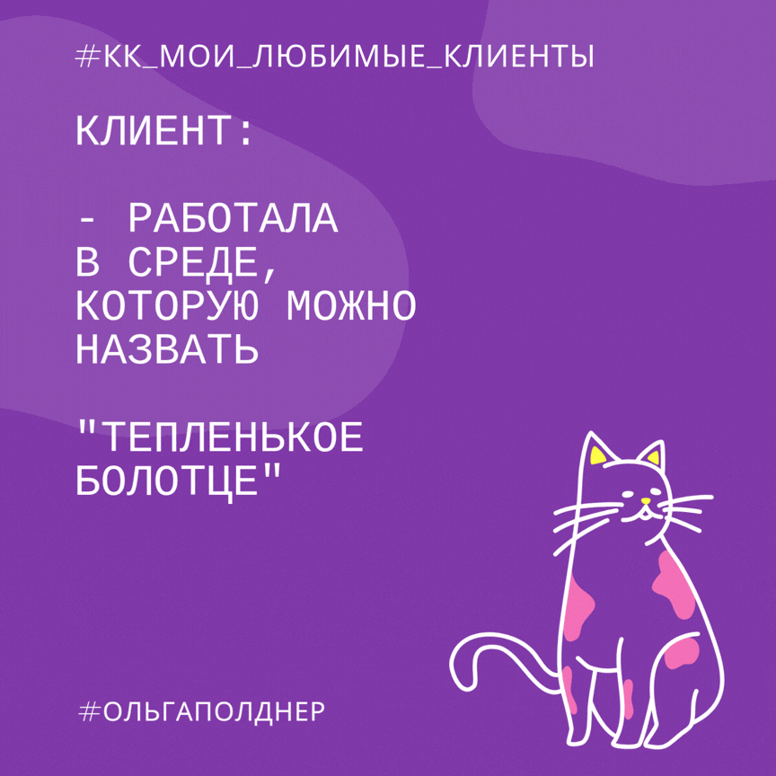 #пятничные_котики
