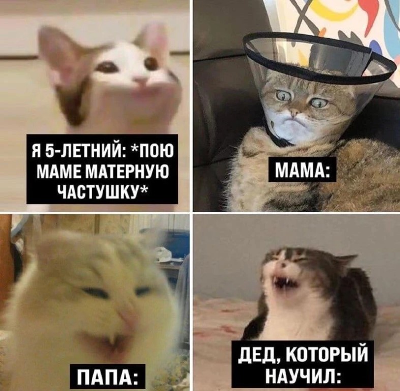 Фото