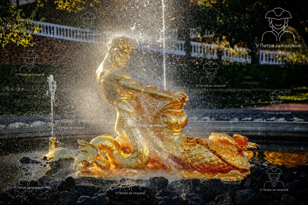 Фото