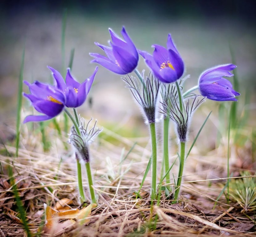 Фото