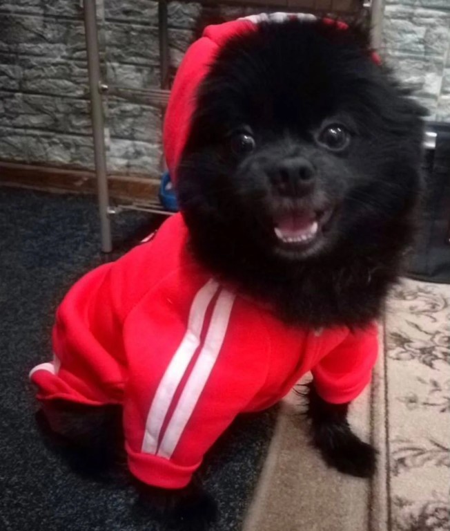 Фото