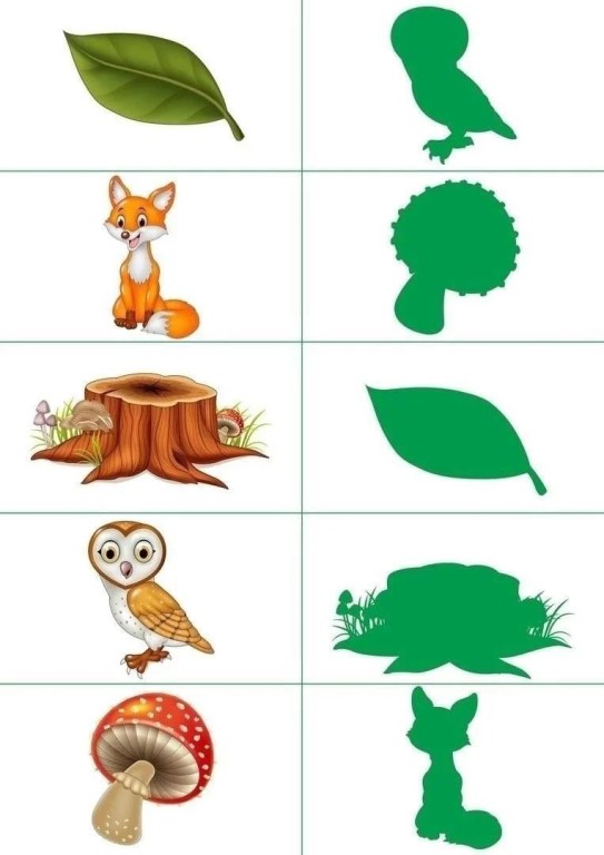 Фото