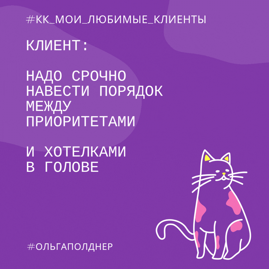 #пятничные_котики