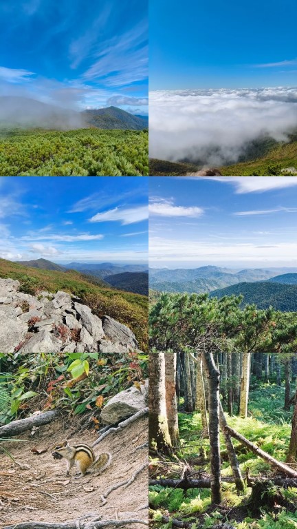 Фото