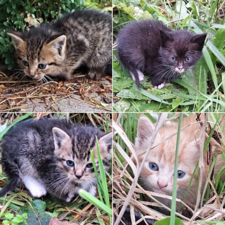 Фото