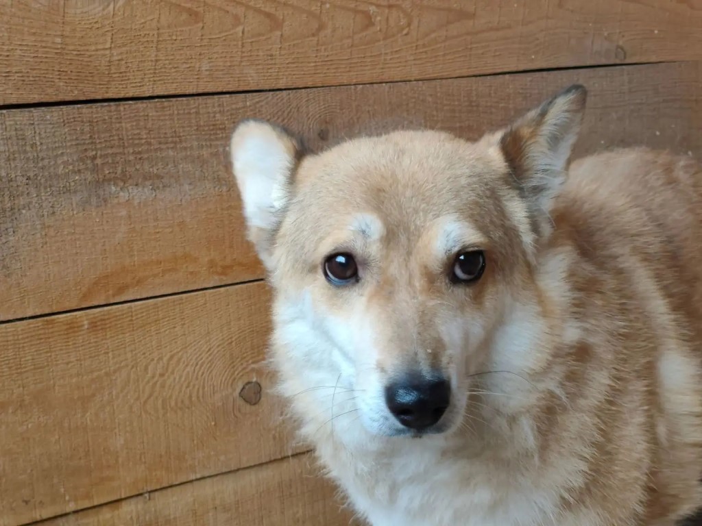 Фото