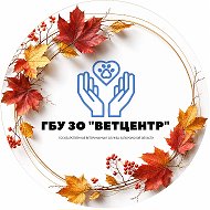 ГБУ ЗО "Ветеринарный центр"