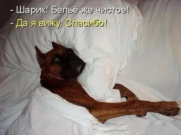 Фото