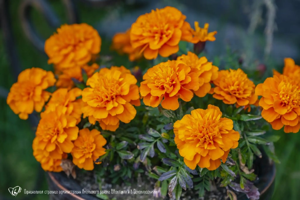 Фото