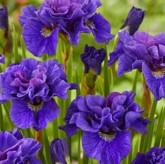 Фото
