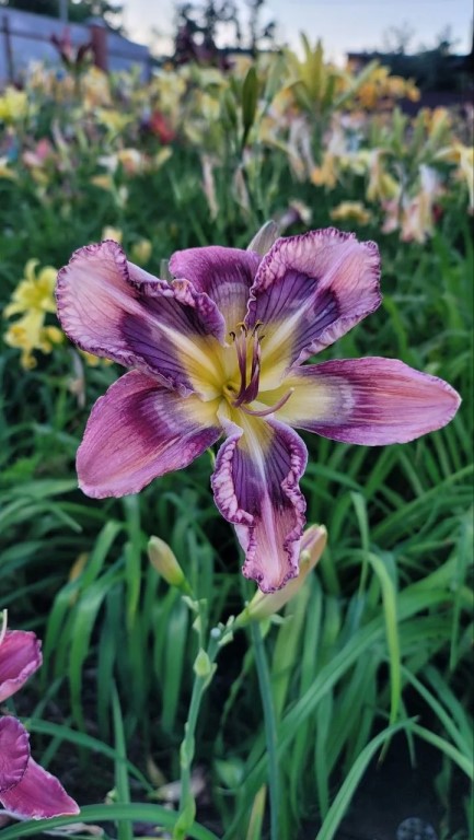 Фото