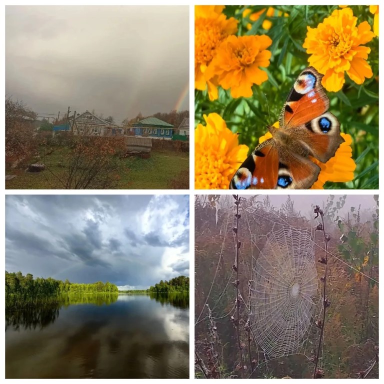 Фото