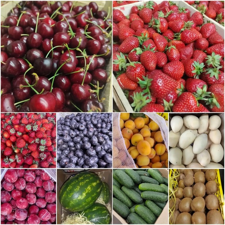 Фото