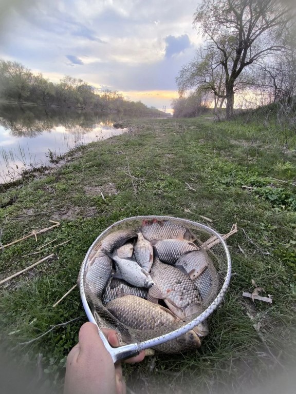 Фото