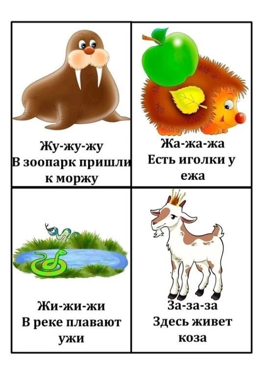 Фото