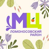 МАУ МП "Молодежный центр Ломоносовского района"
