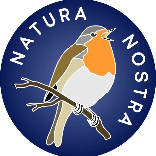 Запись в онлайн-кружки Natura nostra — канал в мессенджере MAX