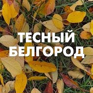 Тесный Белгород