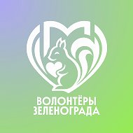 Волонтёры Зеленограда