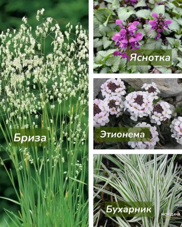 Фото