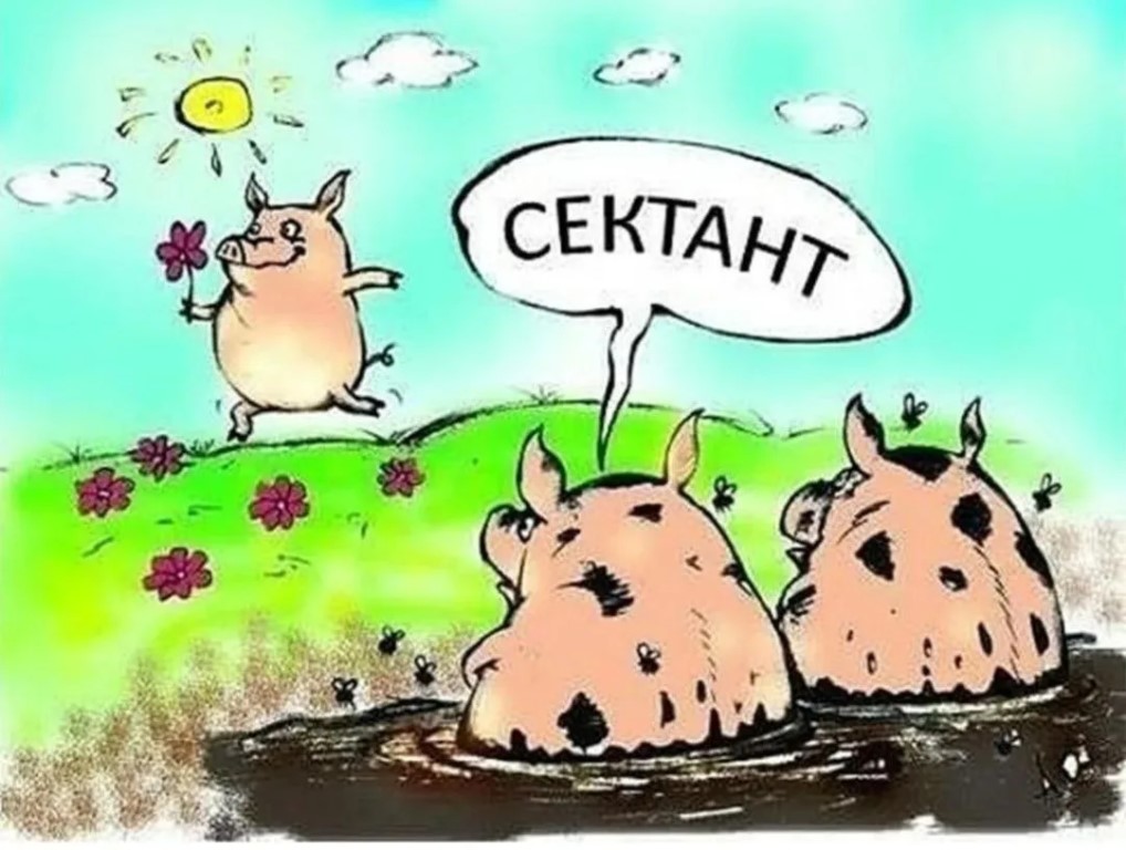 Фото
