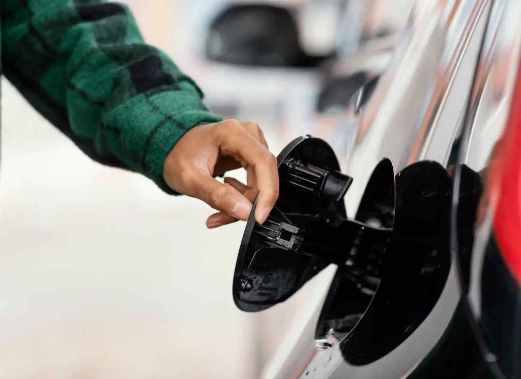 Фото