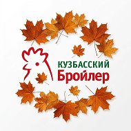 Кузбасский бройлер
