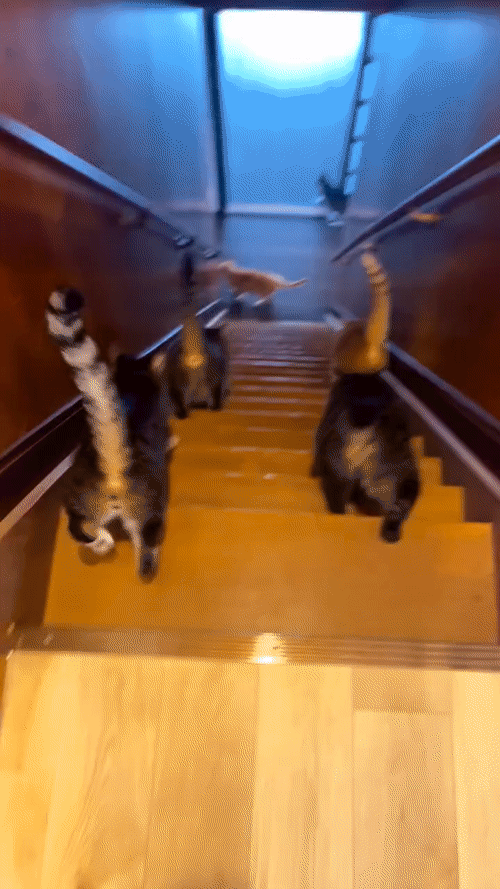 Как только закончилась  последняя минута рабочего дня 😺