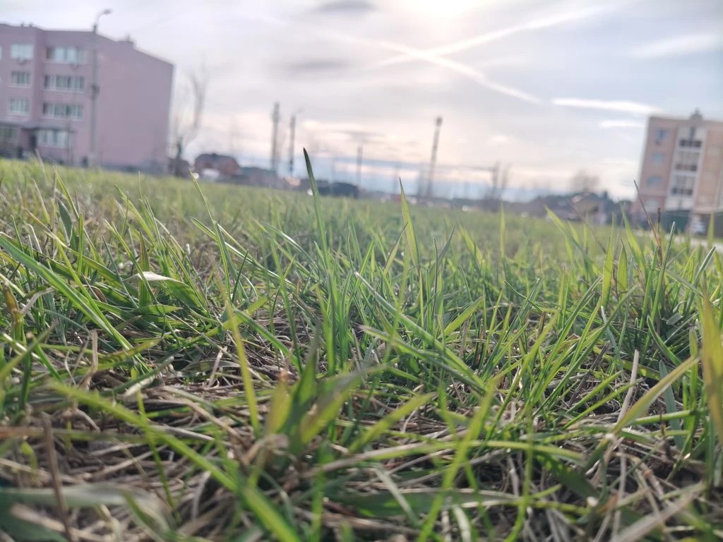 Фото