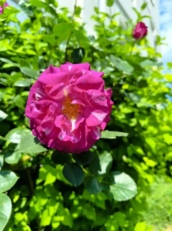 Фото