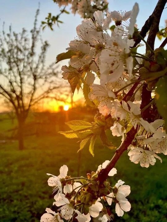 Фото