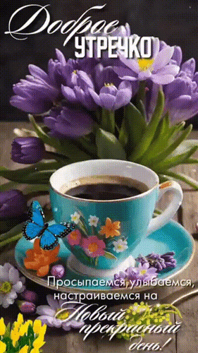 ❤️Дарим эмоции по МАКСимуму✨