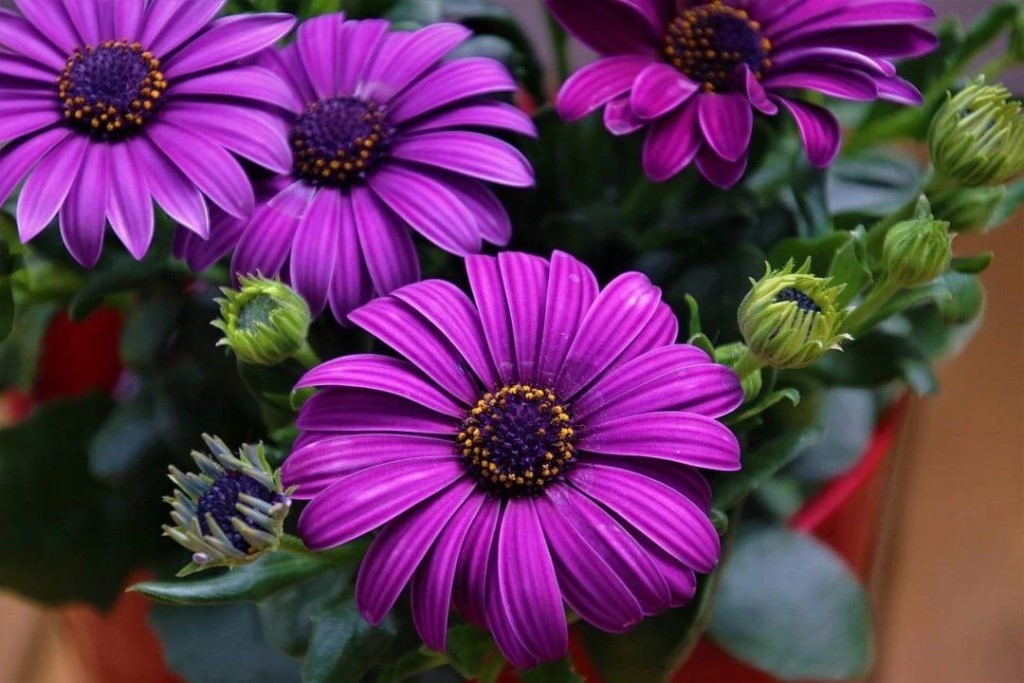 Фото