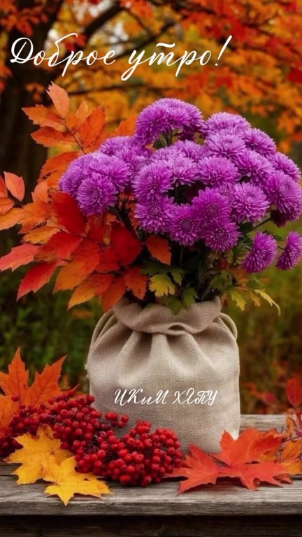 Фото