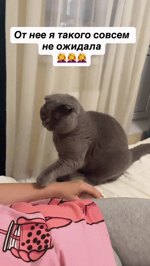ХОЗЯЙКА ПРИБОЛЕЛА , ГРУППА ПОДДЕРЖКИ НА МЕСТЕ 😻