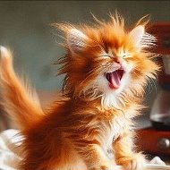 С юмором по жизни!