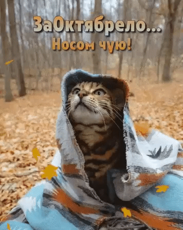 Добрый Мурзик 😻