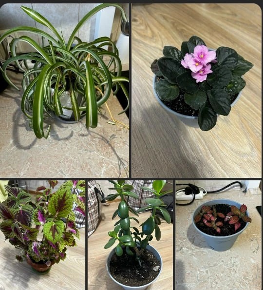 Фото