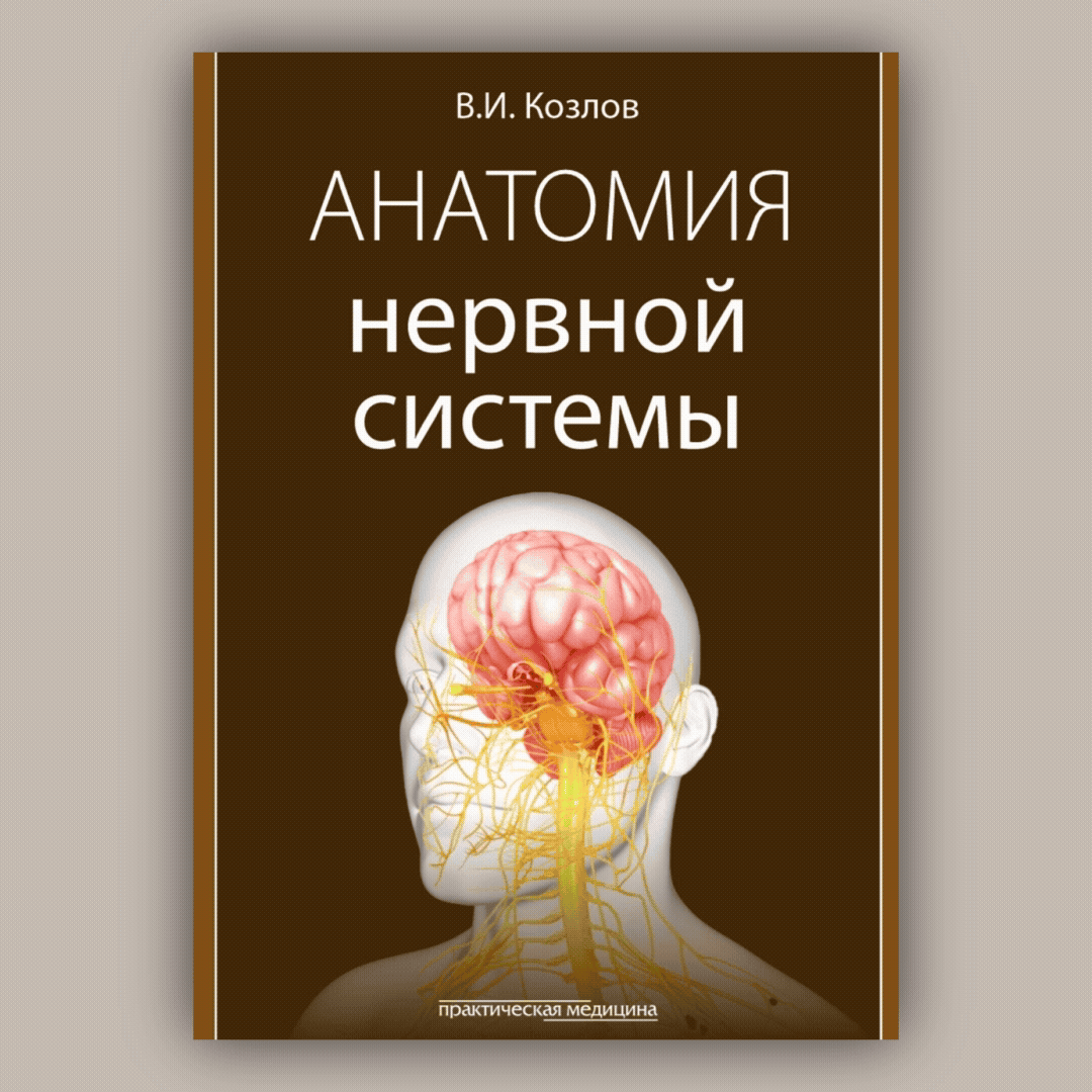 📘 Козлов В. И. Анатомия нервной системы (2024)