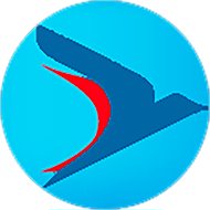 Сервисный интегратор «Инсайт» | Канал МАХ